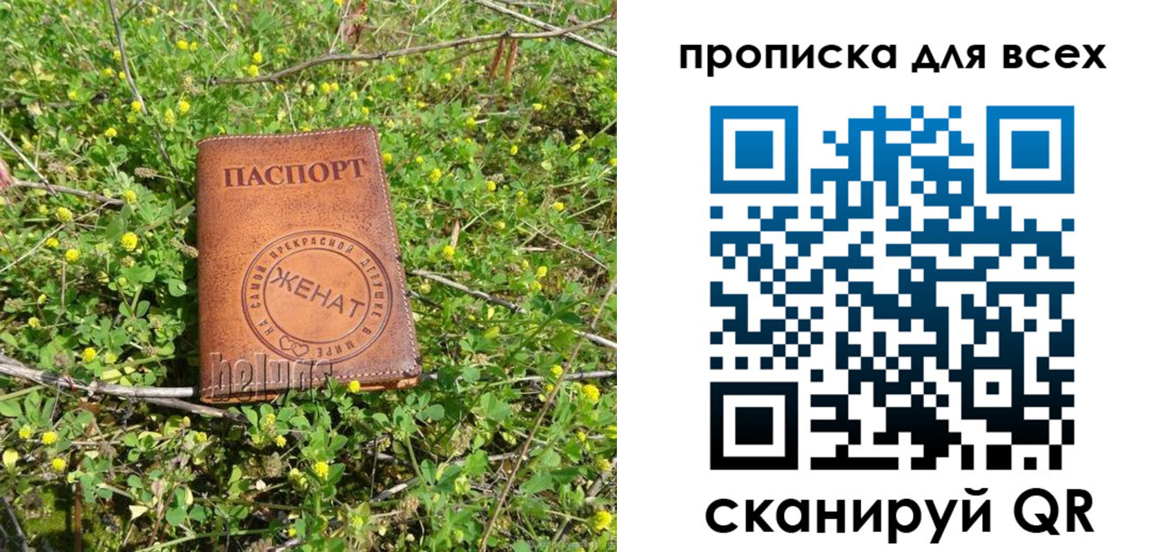 прописка поиск в Вольске